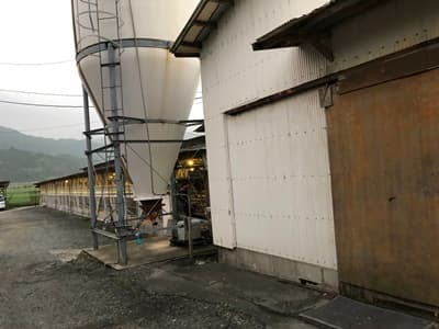 福岡県糸島市にある板垣養鶏場のたまご