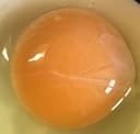 たまご画像