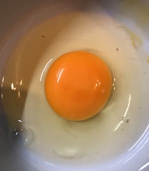 四国ノーサンエッグの卵