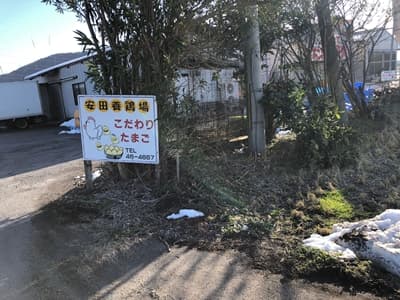 近江八幡市にある安田健次養鶏場のたまご